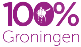 Review 100p Groningen
